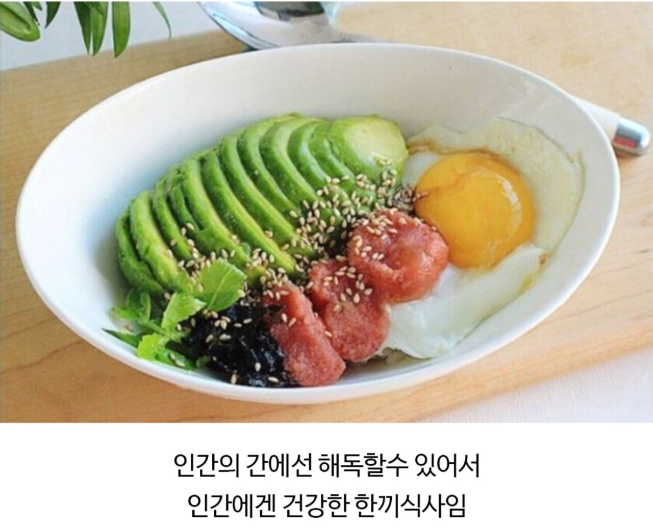 독극물이라는게 종잡을 수 없는 이유 | 인스티즈