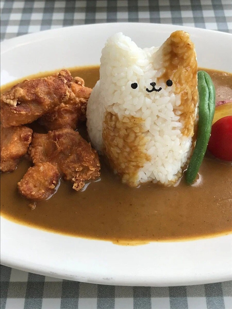 고양이 카레 | 인스티즈