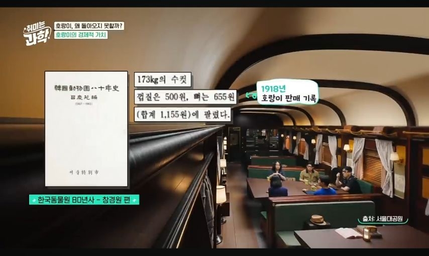 일제강점기 당시 한국 야생 호랑이의 가치 | 인스티즈