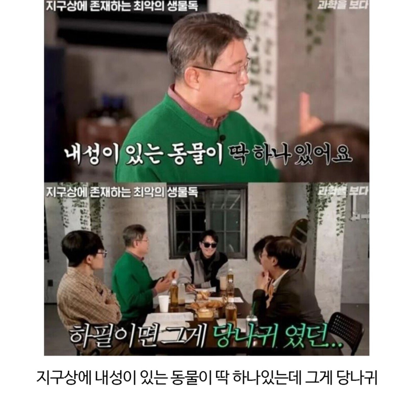 독극물이라는게 종잡을 수 없는 이유 | 인스티즈