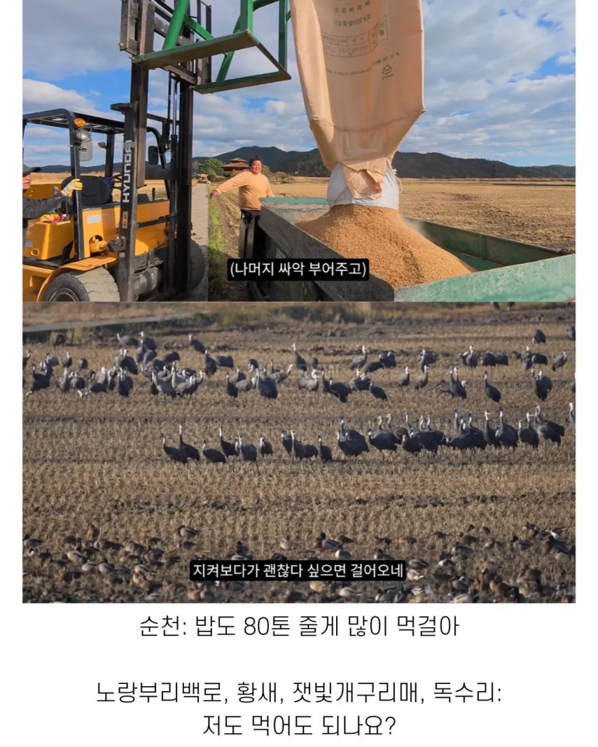 좋은 일 많이 해서 축복 받은 한국 도시 | 인스티즈