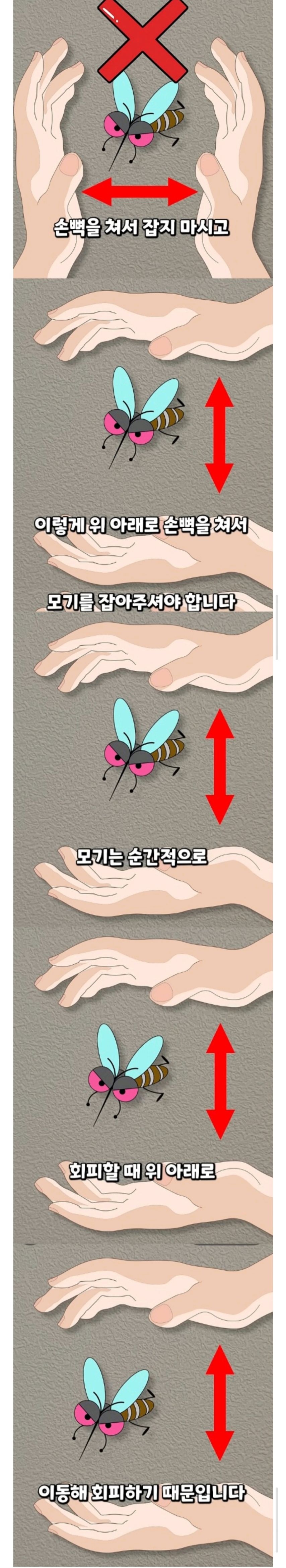 모기 맨손으로 잡을 때 팁 | 인스티즈
