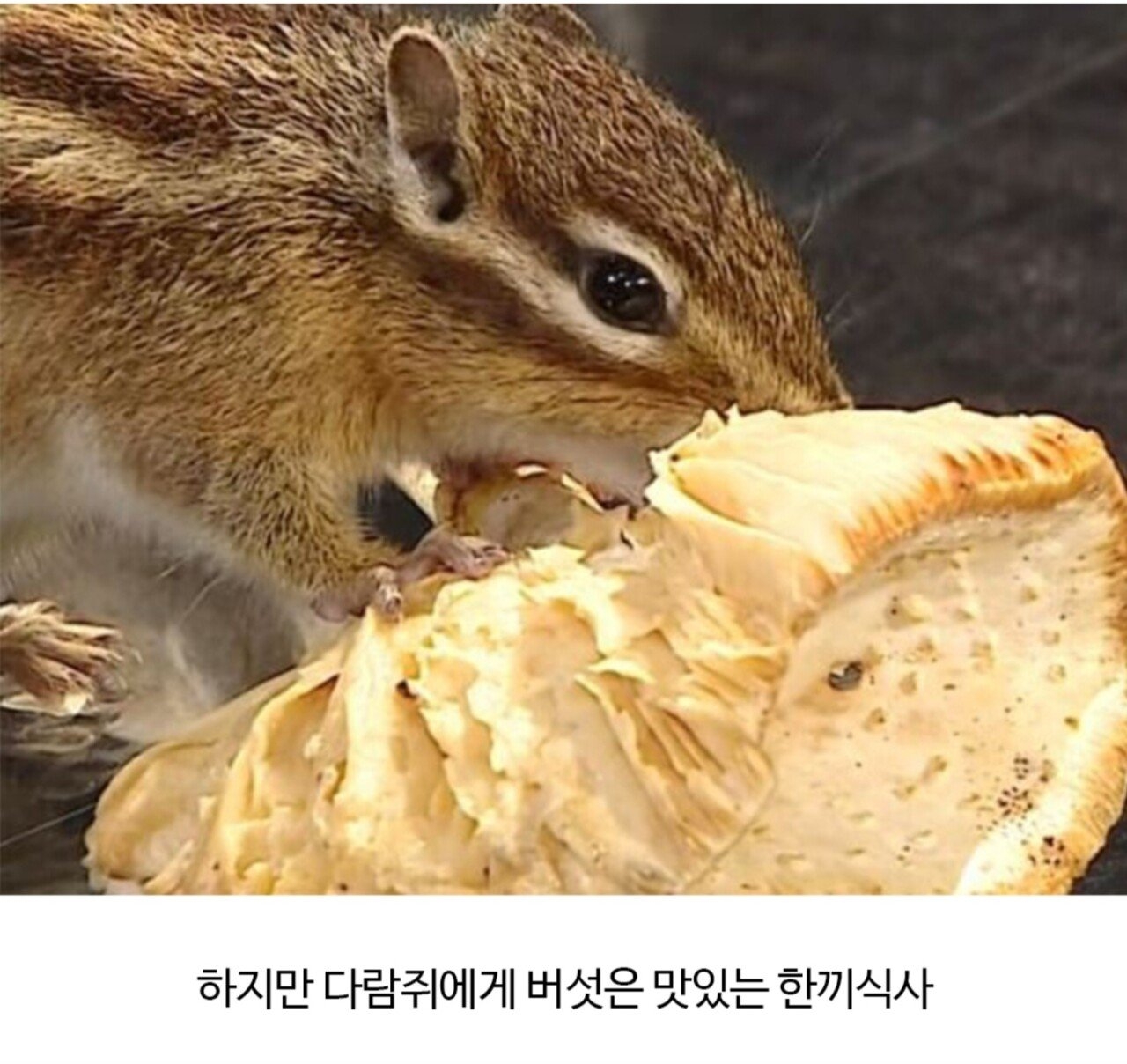 독극물이라는게 종잡을 수 없는 이유 | 인스티즈