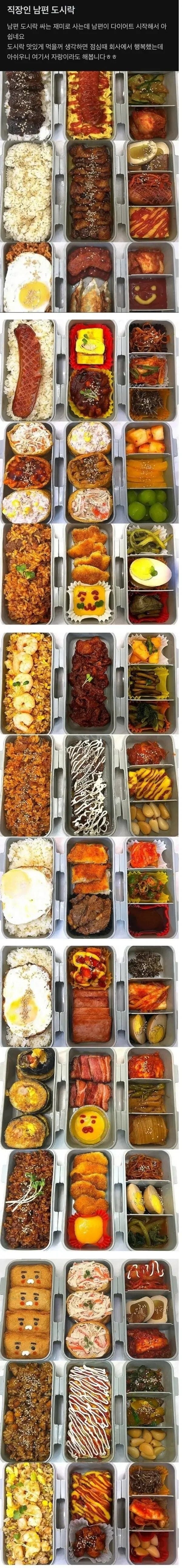 직장인 남편 도시락 | 인스티즈