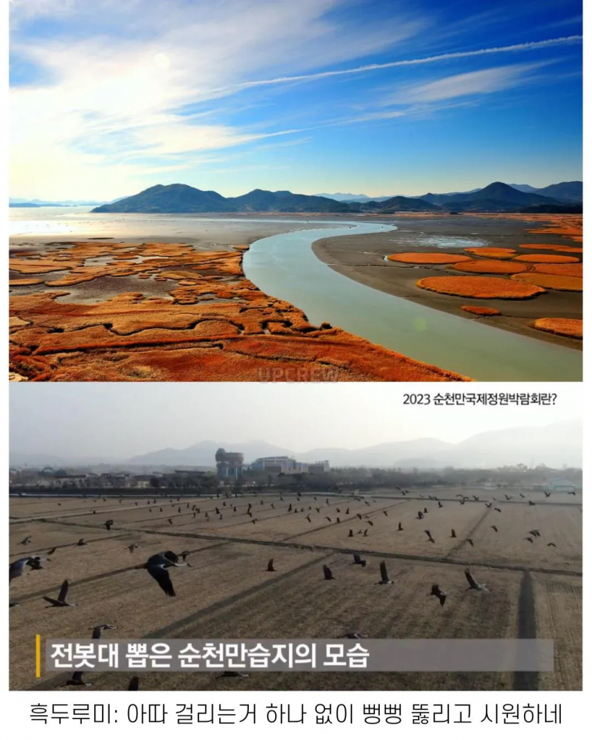 좋은 일 많이 해서 축복 받은 한국 도시 | 인스티즈