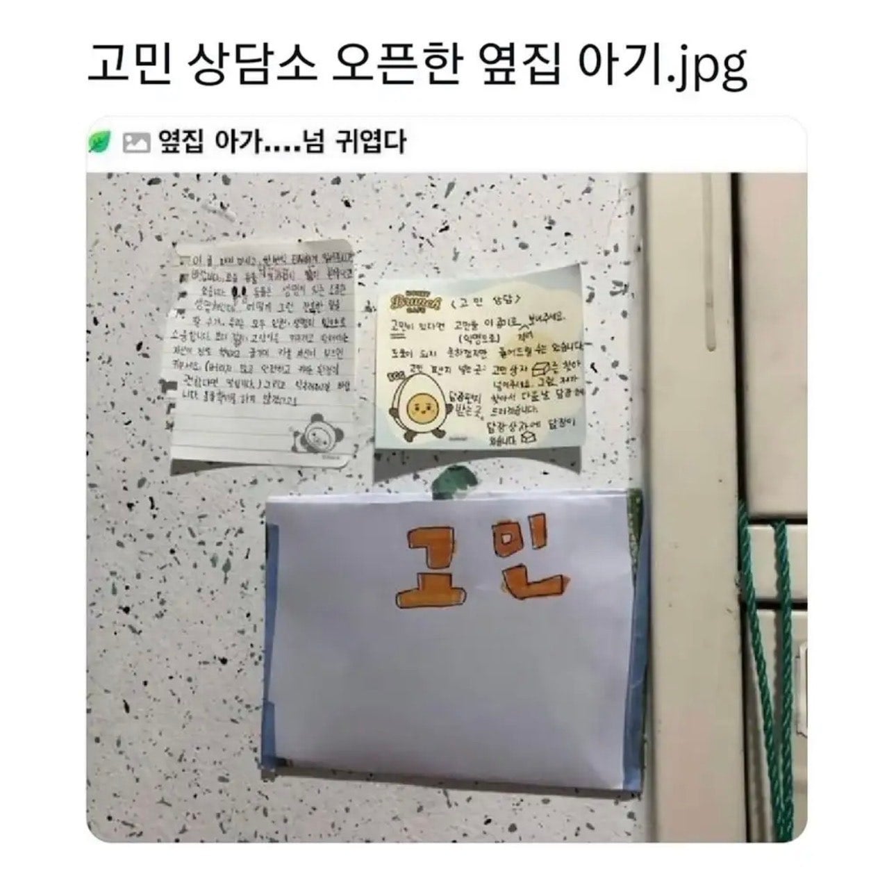 옆집 아기의 고민상담소.jpg | 인스티즈