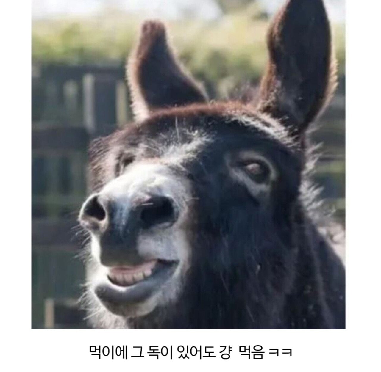 독극물이라는게 종잡을 수 없는 이유 | 인스티즈