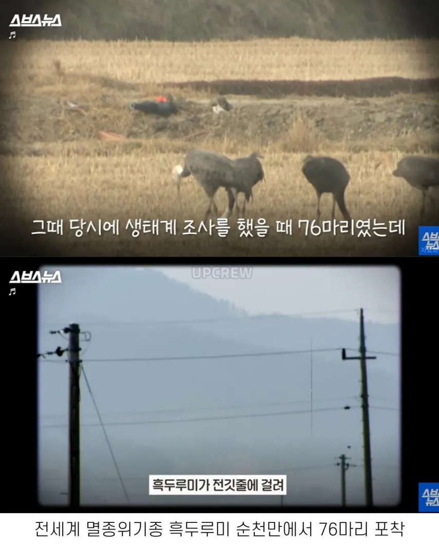 좋은 일 많이 해서 축복 받은 한국 도시 | 인스티즈