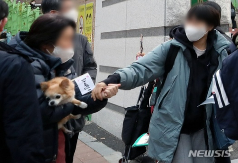 수능 응원나간 강아지들 | 인스티즈