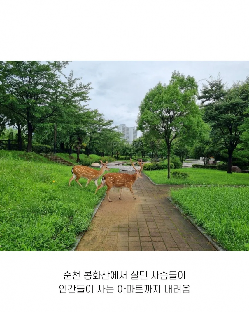 좋은 일 많이 해서 축복 받은 한국 도시 | 인스티즈