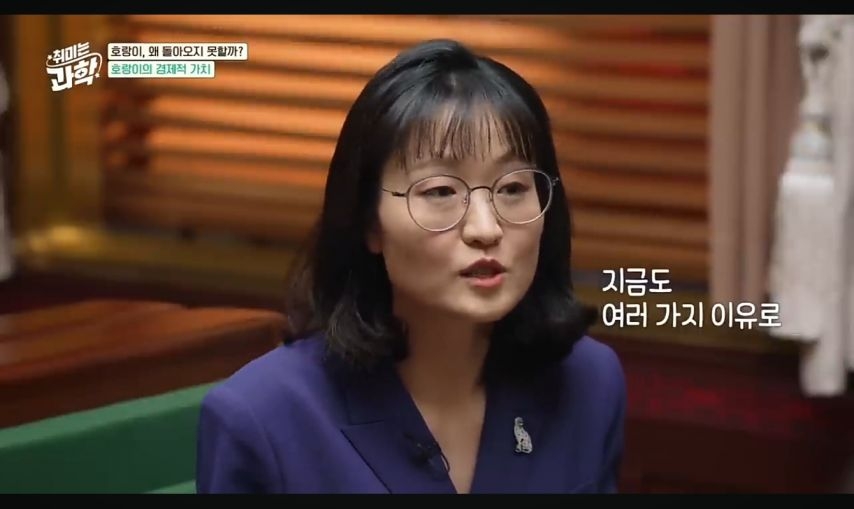일제강점기 당시 한국 야생 호랑이의 가치 | 인스티즈