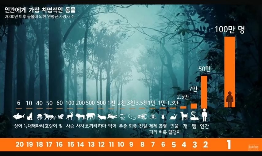 사람을 가장 많이 죽이는 동물 순위 | 인스티즈