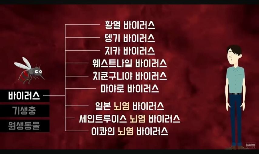 사람을 가장 많이 죽이는 동물 순위 | 인스티즈