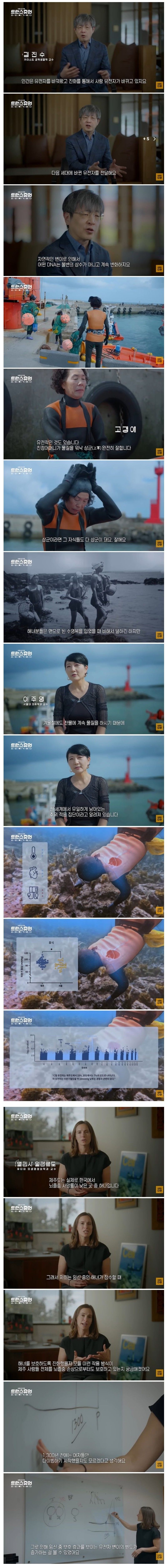 해외에서 연구감이라는 우리나라 직업 | 인스티즈