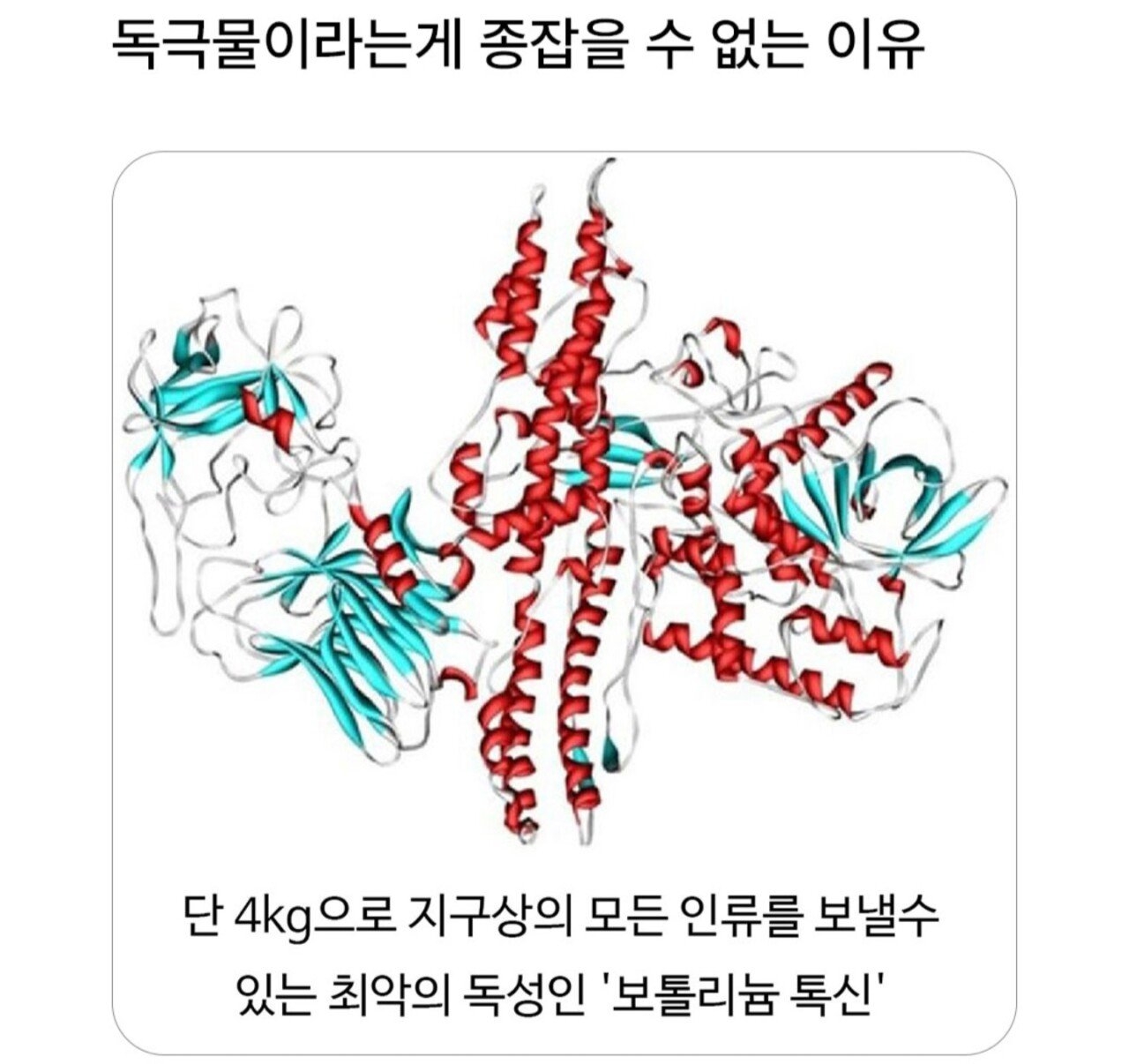 독극물이라는게 종잡을 수 없는 이유 | 인스티즈