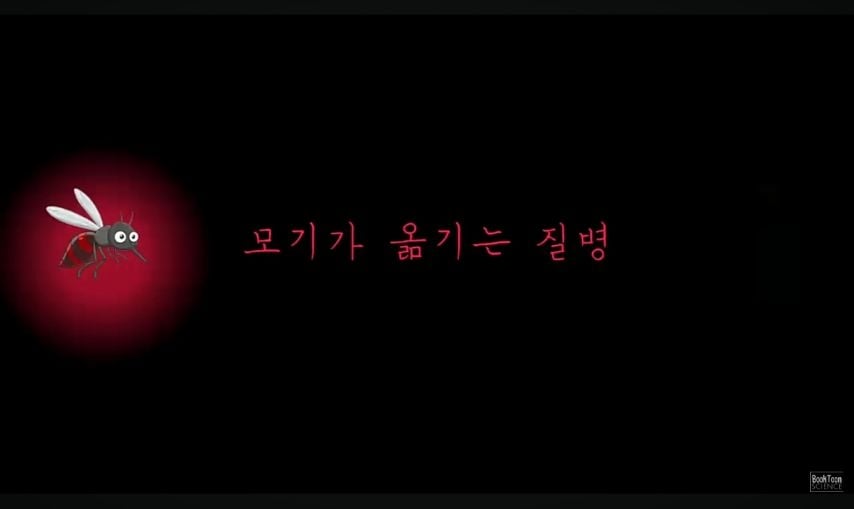 사람을 가장 많이 죽이는 동물 순위 | 인스티즈