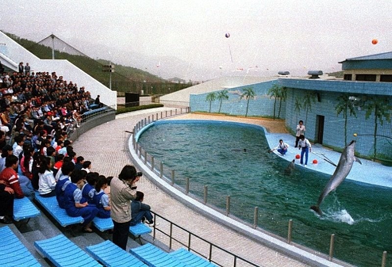 추억의 사진, 1984년 서울대공원 오픈일 풍경 | 인스티즈