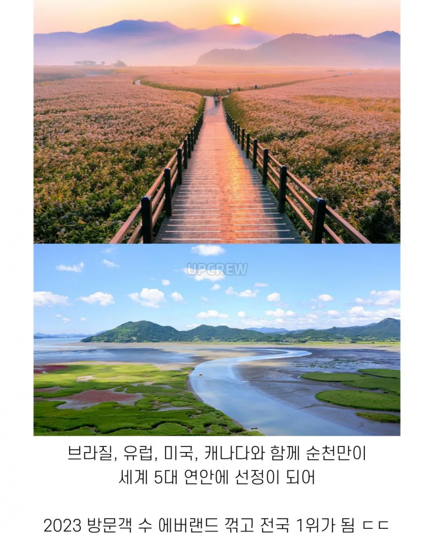 좋은 일 많이 해서 축복 받은 한국 도시 | 인스티즈