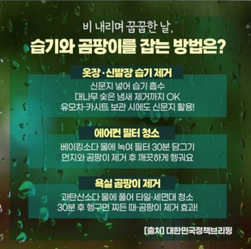 습기와 곰팡이를 잡는 방법 | 인스티즈