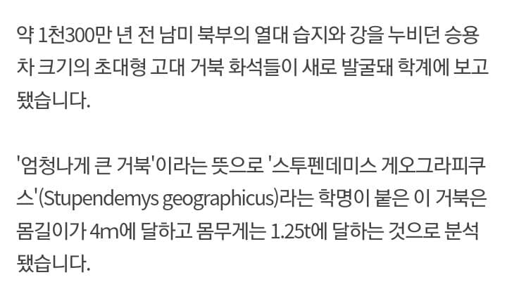 1300만년 전 살았던 고대 거북이의 크기 | 인스티즈