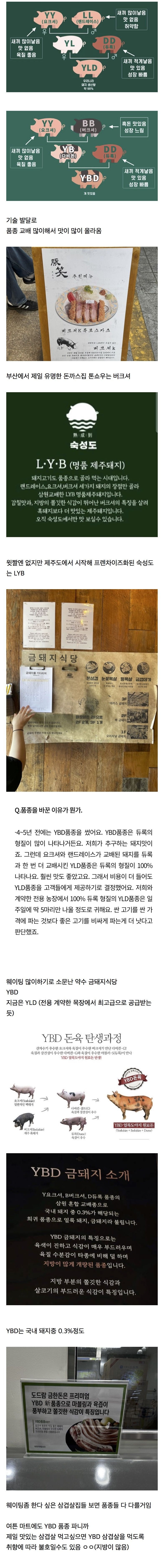 요즘 삼겹살이 평타 이상은 쳐주는 이유 | 인스티즈