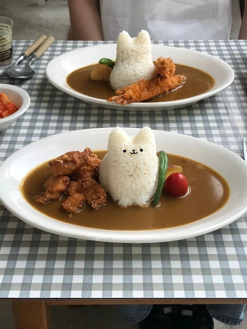 고양이 카레 | 인스티즈