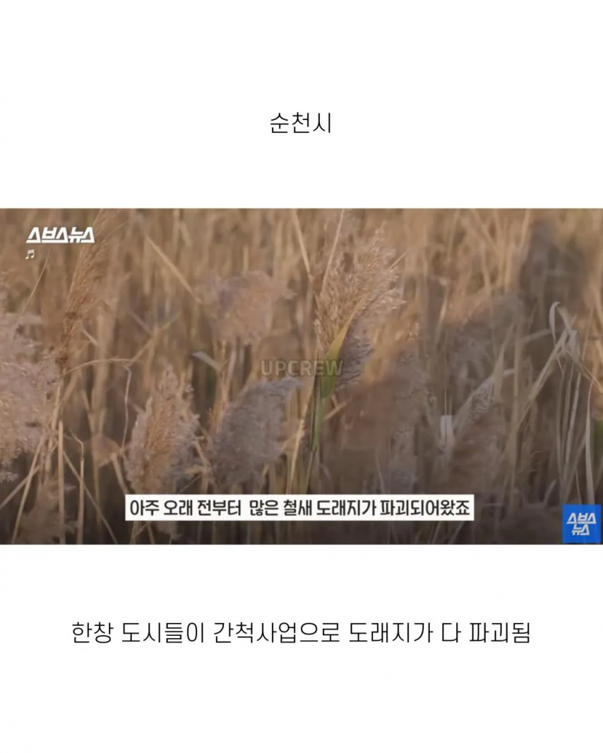 좋은 일 많이 해서 축복 받은 한국 도시 | 인스티즈