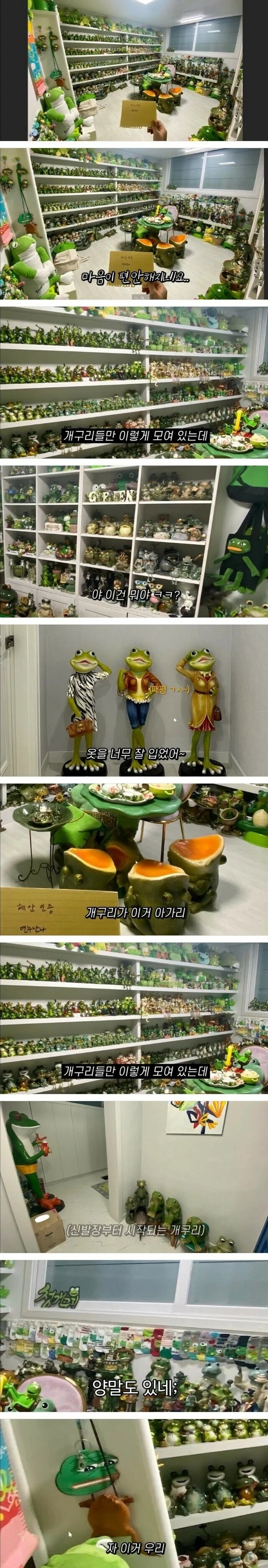 엄마가 30년동안 모았다는 개구리 장식품 | 인스티즈