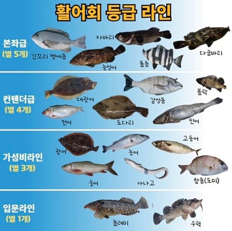 활어회 등급 라인 | 인스티즈