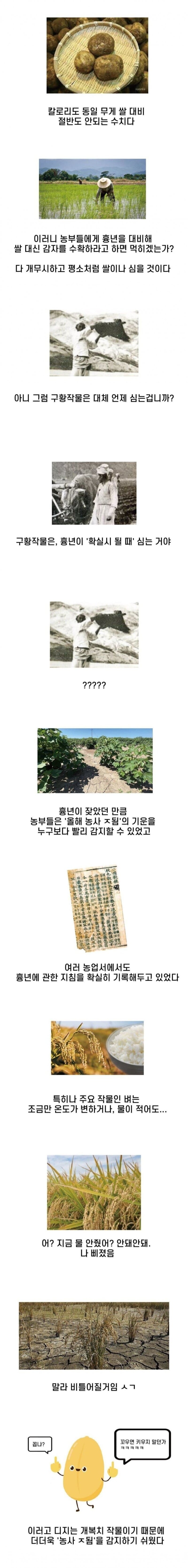 우리 선조들이 흉년을 대비한 방법 | 인스티즈