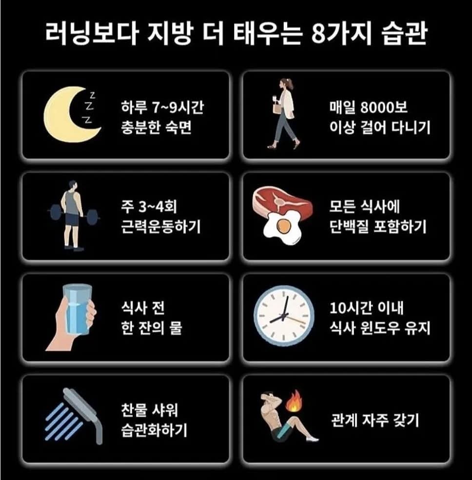 지방을 태우는 습관 | 인스티즈