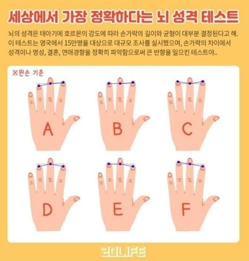 손가락 길이로 보는 뇌성격 테스트 | 인스티즈