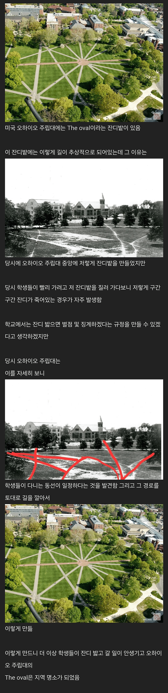 학생들이 잔디밭을 밟자 대학교에서 취한 조치 | 인스티즈