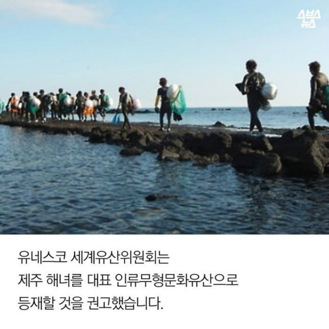 [놀람주의] 대한민국 해녀들의 불편한 진실.jpg | 인스티즈