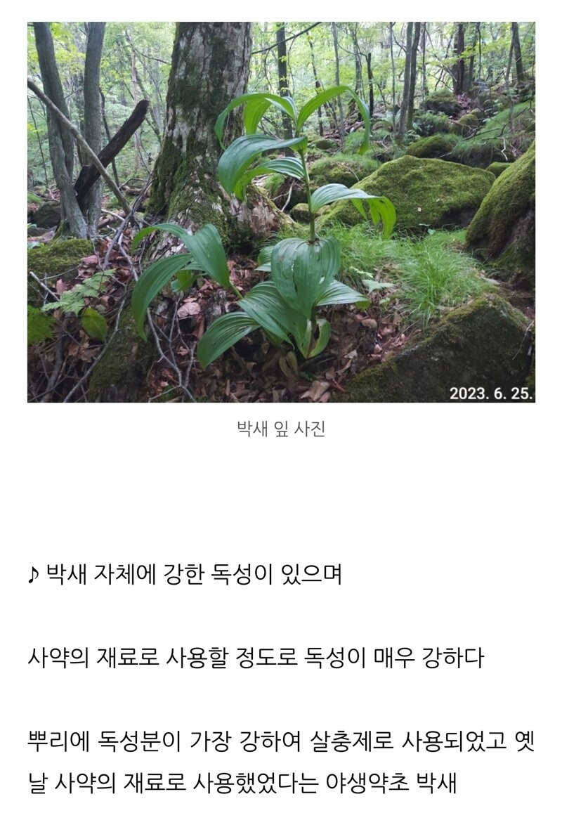 도둑을 걱정하는 어느 누리꾼 | 인스티즈