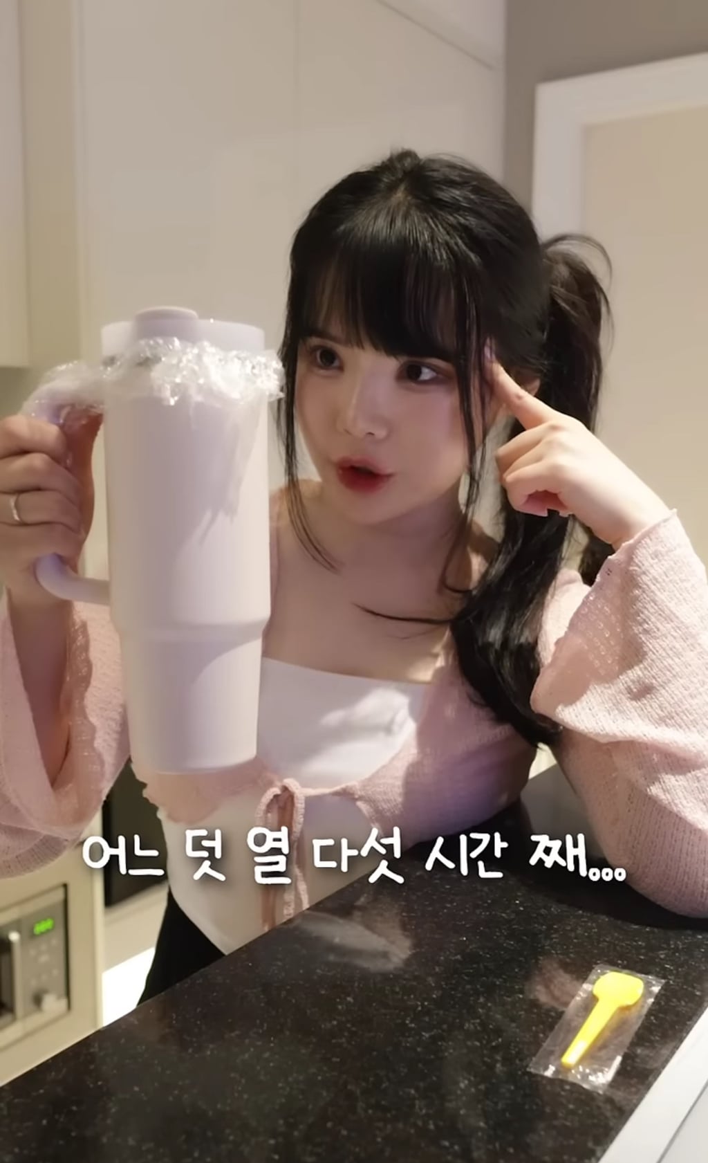 스탠리 텀블러에 요아정을 넣고 방콕 여행을 가면 녹을까 안 녹을까 | 인스티즈