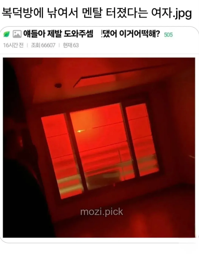 집 보러 다닐때 밤에도 확인해야하는 이유.jpg | 인스티즈