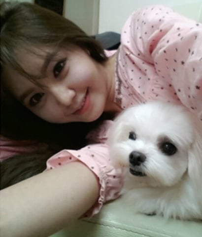 반려동물 사지 않고 입양한 연예인들.jpg | 인스티즈