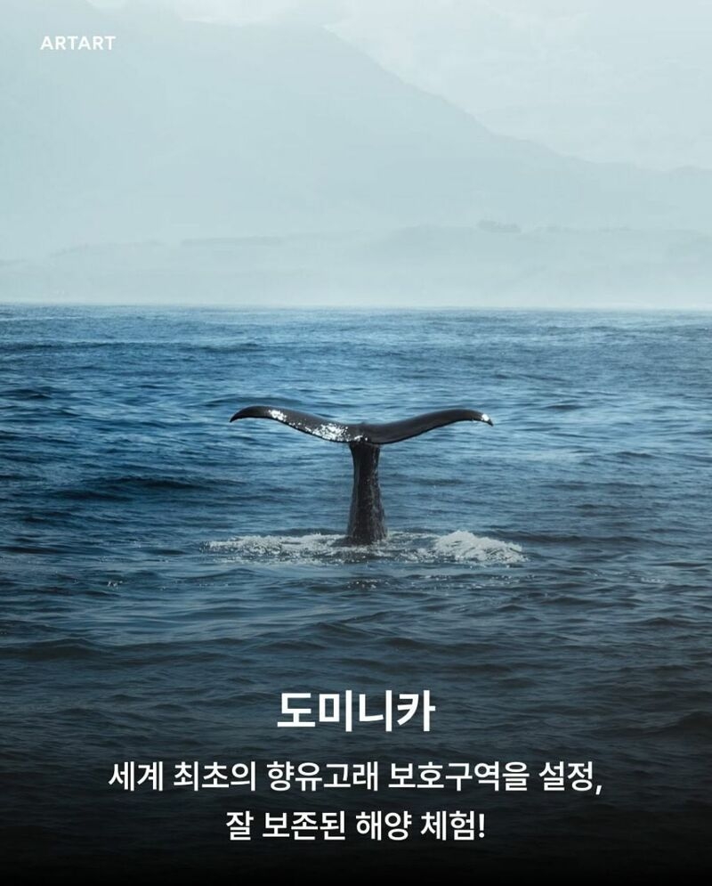 BBC 선정 핫한 여행지 | 인스티즈