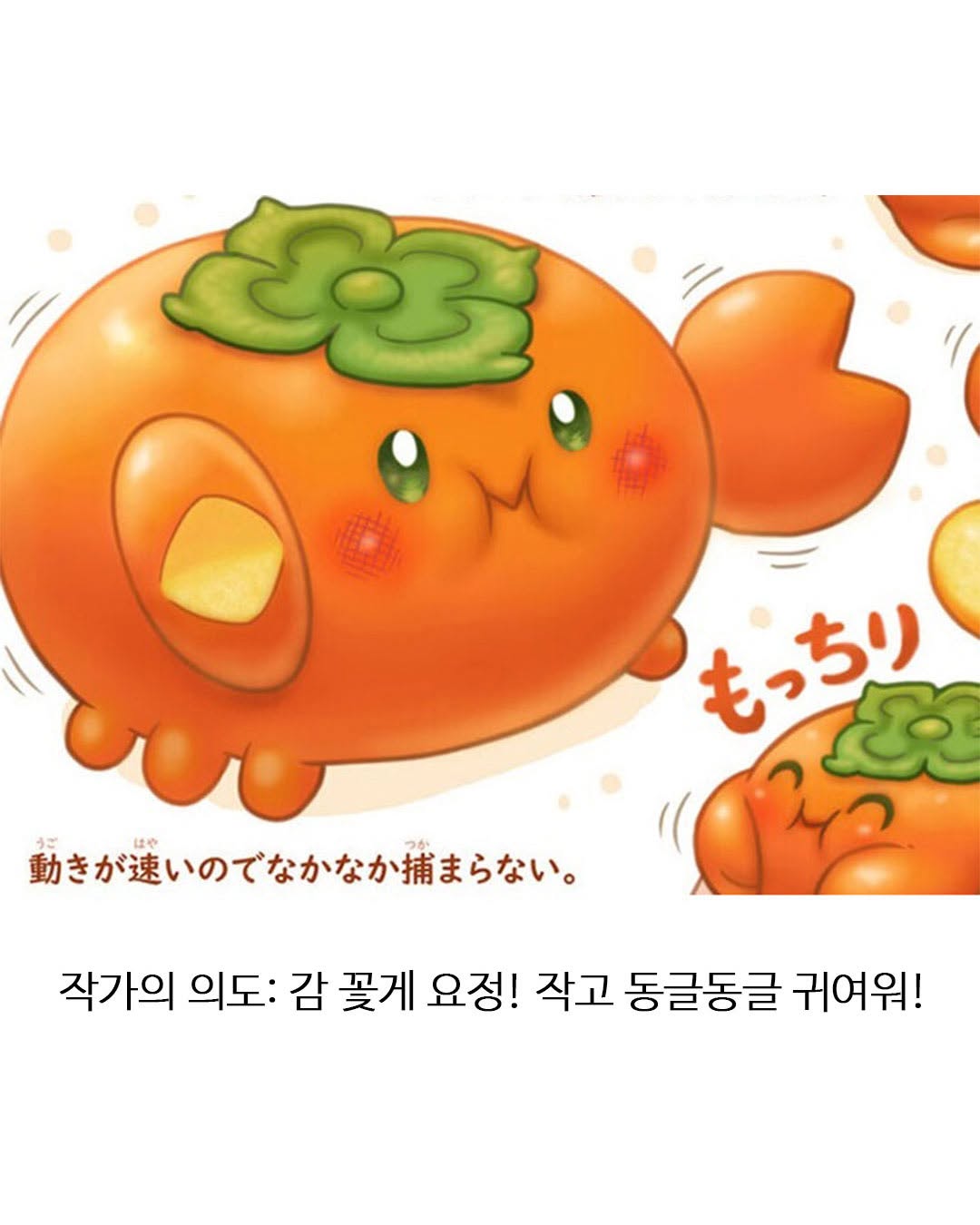 한국사람에게는 딱히 매력적이지 않은 디자인 | 인스티즈