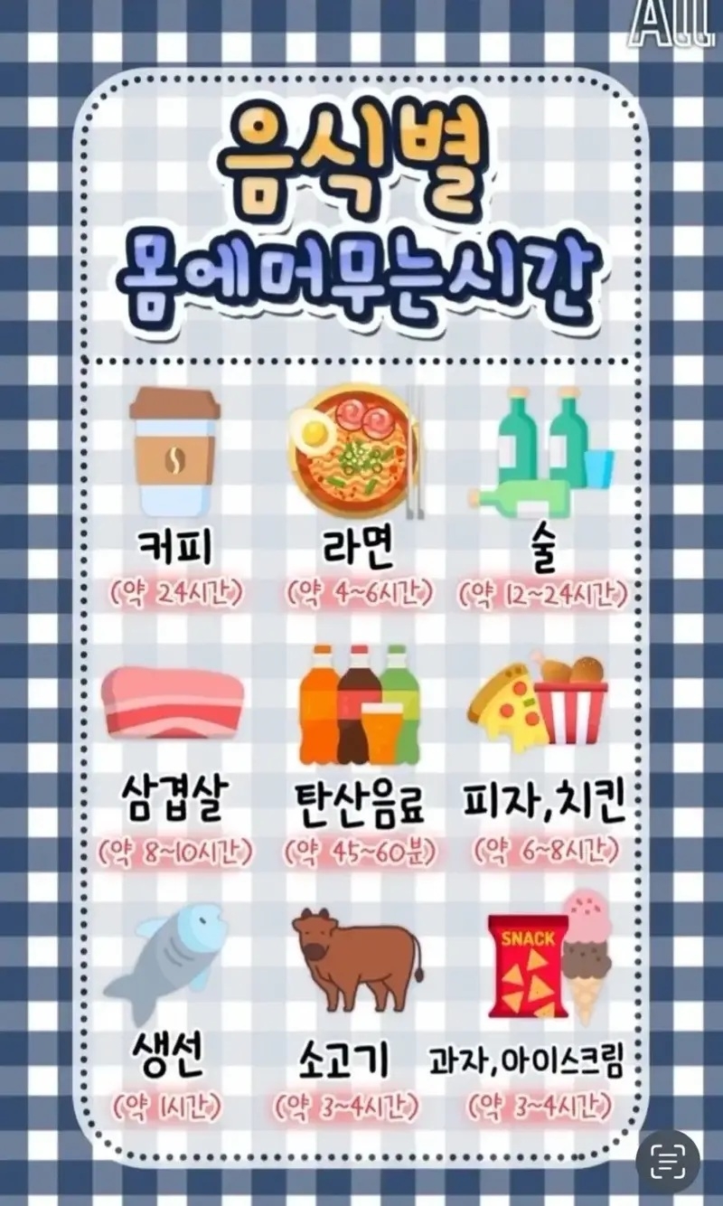 음식별 몸에 머무는 시간 | 인스티즈