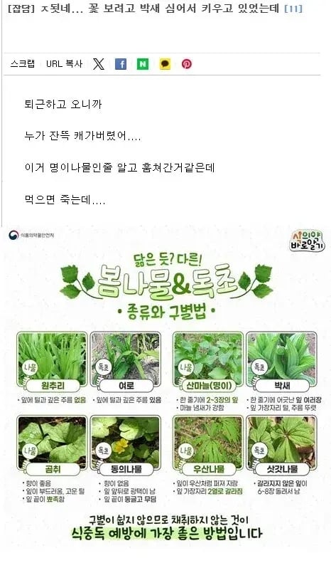 도둑을 걱정하는 어느 누리꾼 | 인스티즈