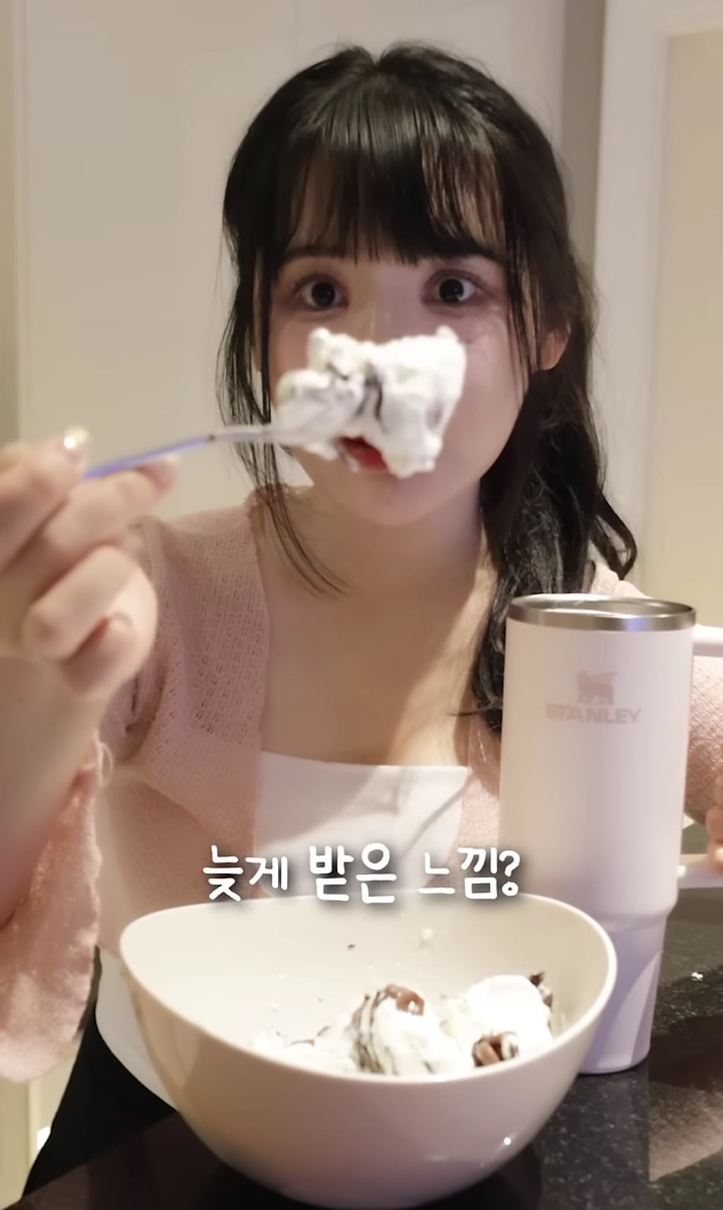 스탠리 텀블러에 요아정을 넣고 방콕 여행을 가면 녹을까 안 녹을까 | 인스티즈