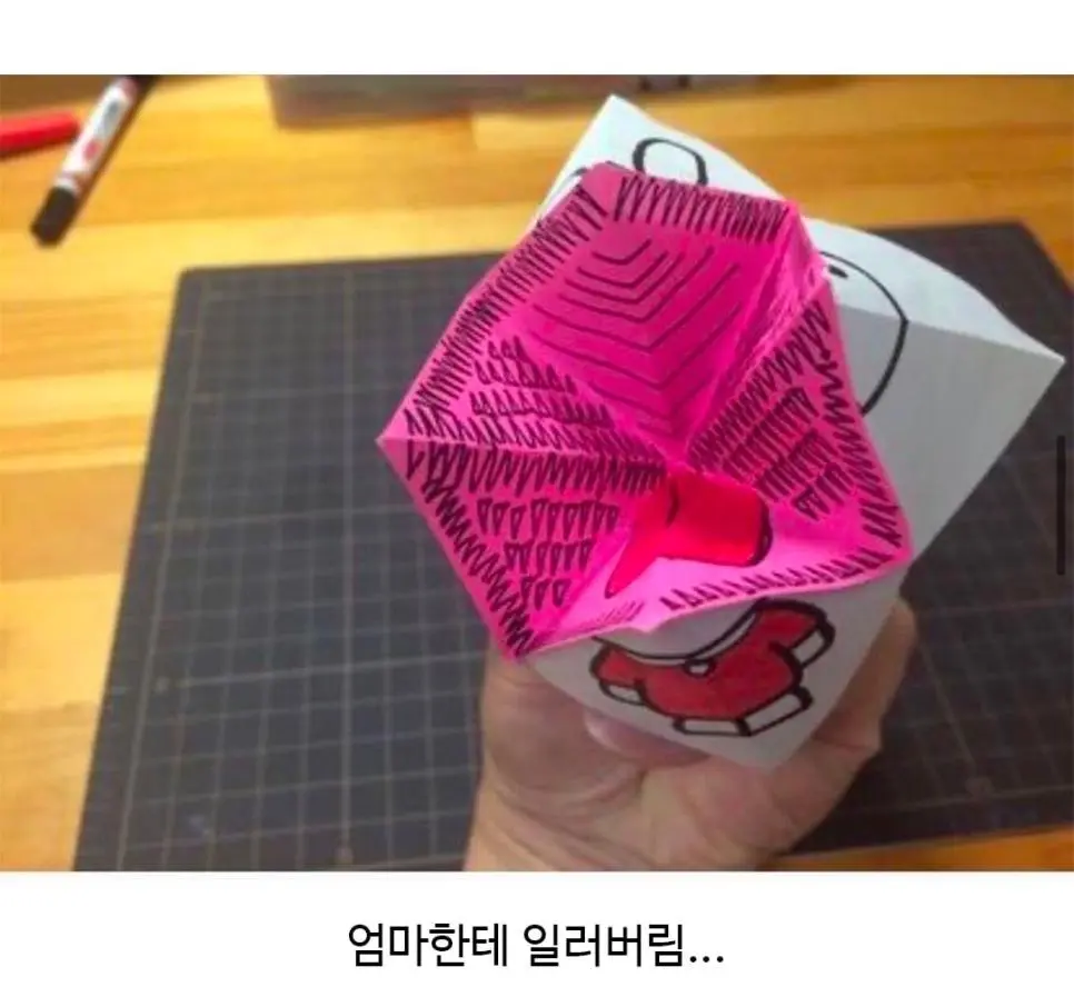 종이접기 해줬는데 조카가 울었다는 일본인 | 인스티즈
