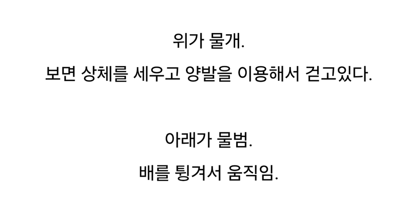 물개와 물범 차이 | 인스티즈