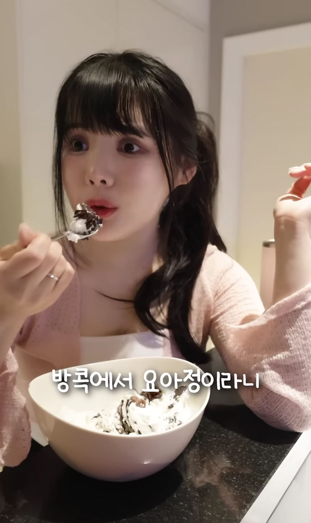 스탠리 텀블러에 요아정을 넣고 방콕 여행을 가면 녹을까 안 녹을까 | 인스티즈