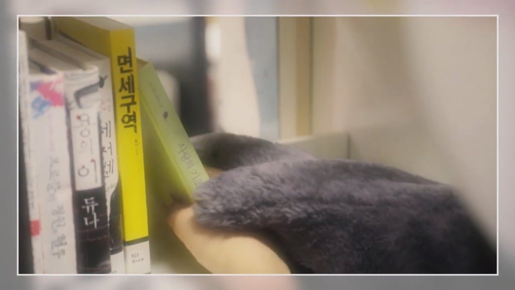 [펭수] 도서관에 가서 죄와 벌을 읽는 펭수 | 인스티즈