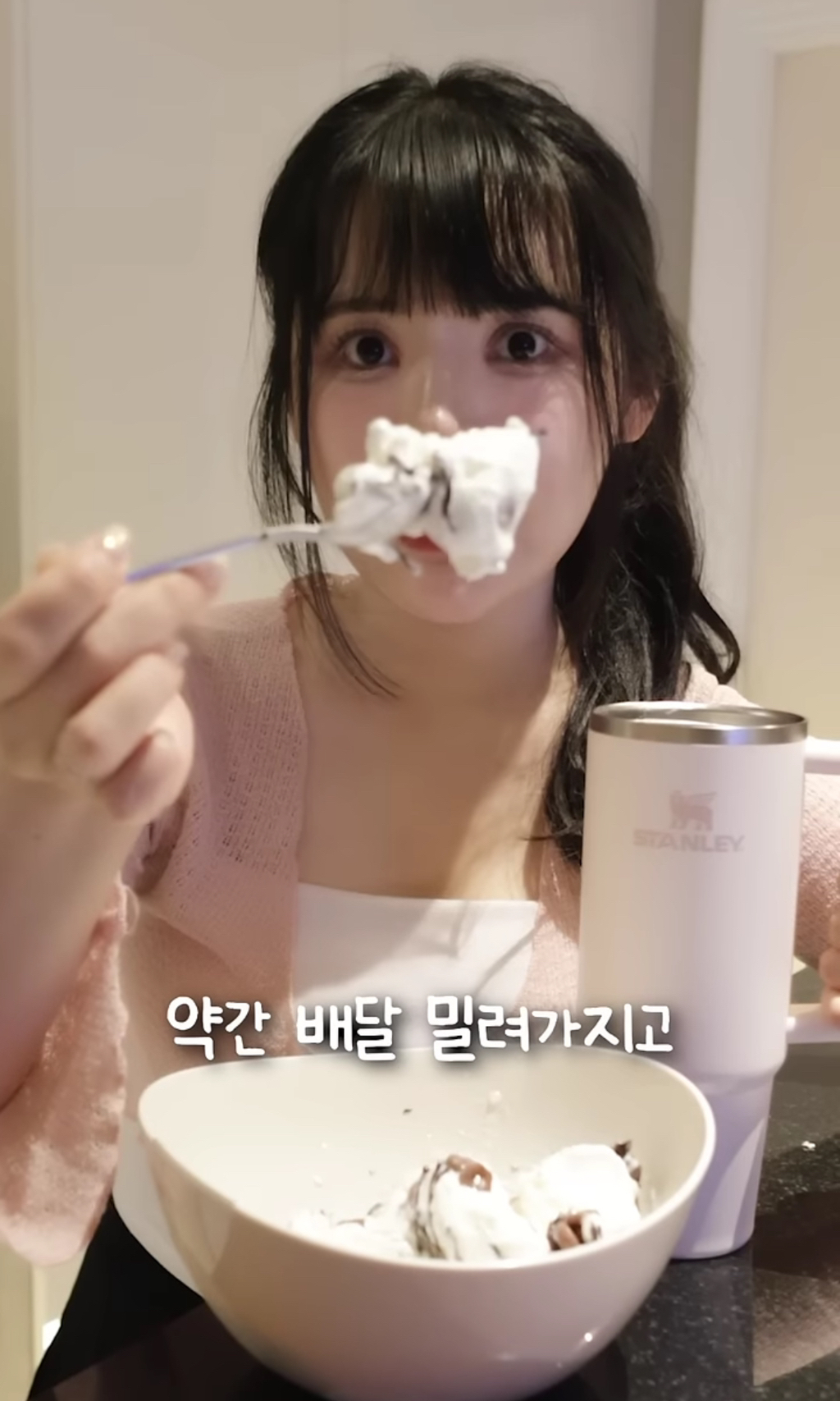 스탠리 텀블러에 요아정을 넣고 방콕 여행을 가면 녹을까 안 녹을까 | 인스티즈