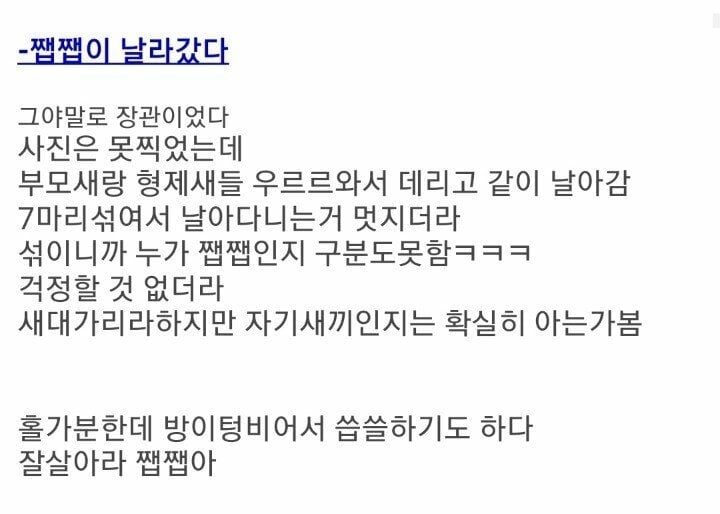 버려진 아기제비 구조 후기 | 인스티즈