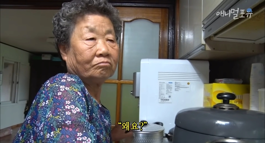 치매 걸린 아내가 4년만에 끓여준 미역국 jpg | 인스티즈